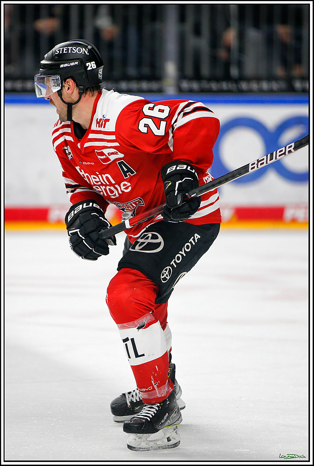 PENNY DEL; Koelner Haie- Red BUll Muenchen; Koeln, 08.11.2022